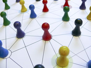 Leyu Sport登录入口-中国篮球教练员战术执行力提升路径分析，中国篮球教练员等级划分标准