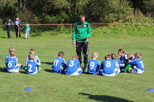 乐鱼电竞在线平台-中国篮球教练员战术创新能力培养及培训机制研究，全国篮球教练员岗位培训