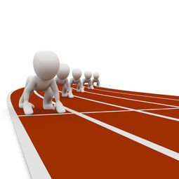 乐鱼体育平台-体育赛事观众行为分析与运营建议，现场观看体育赛事的优点