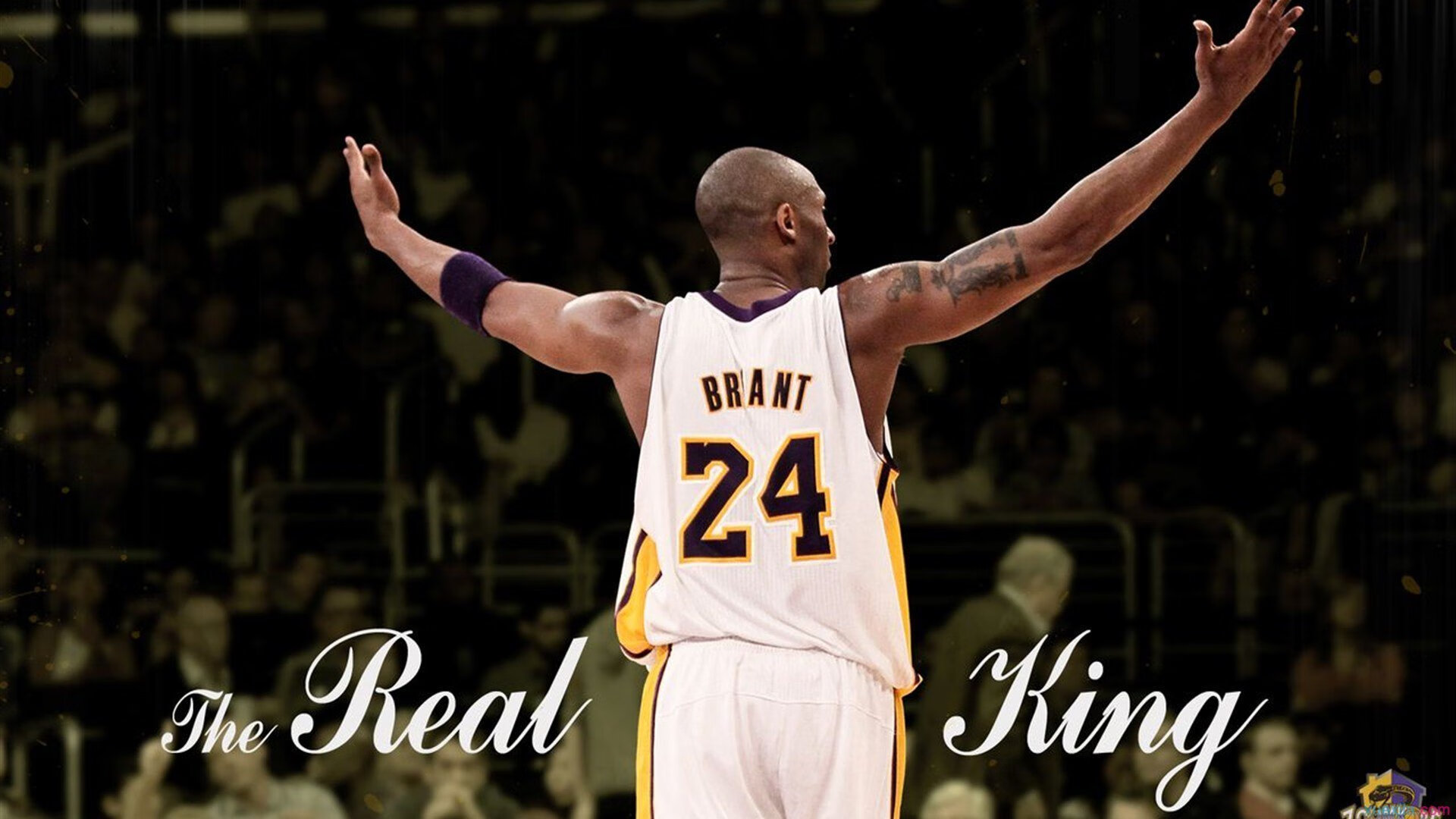 APP下载 LY Sports-体育新闻中心推动体育短视频版权保护升级，体育短视频创作